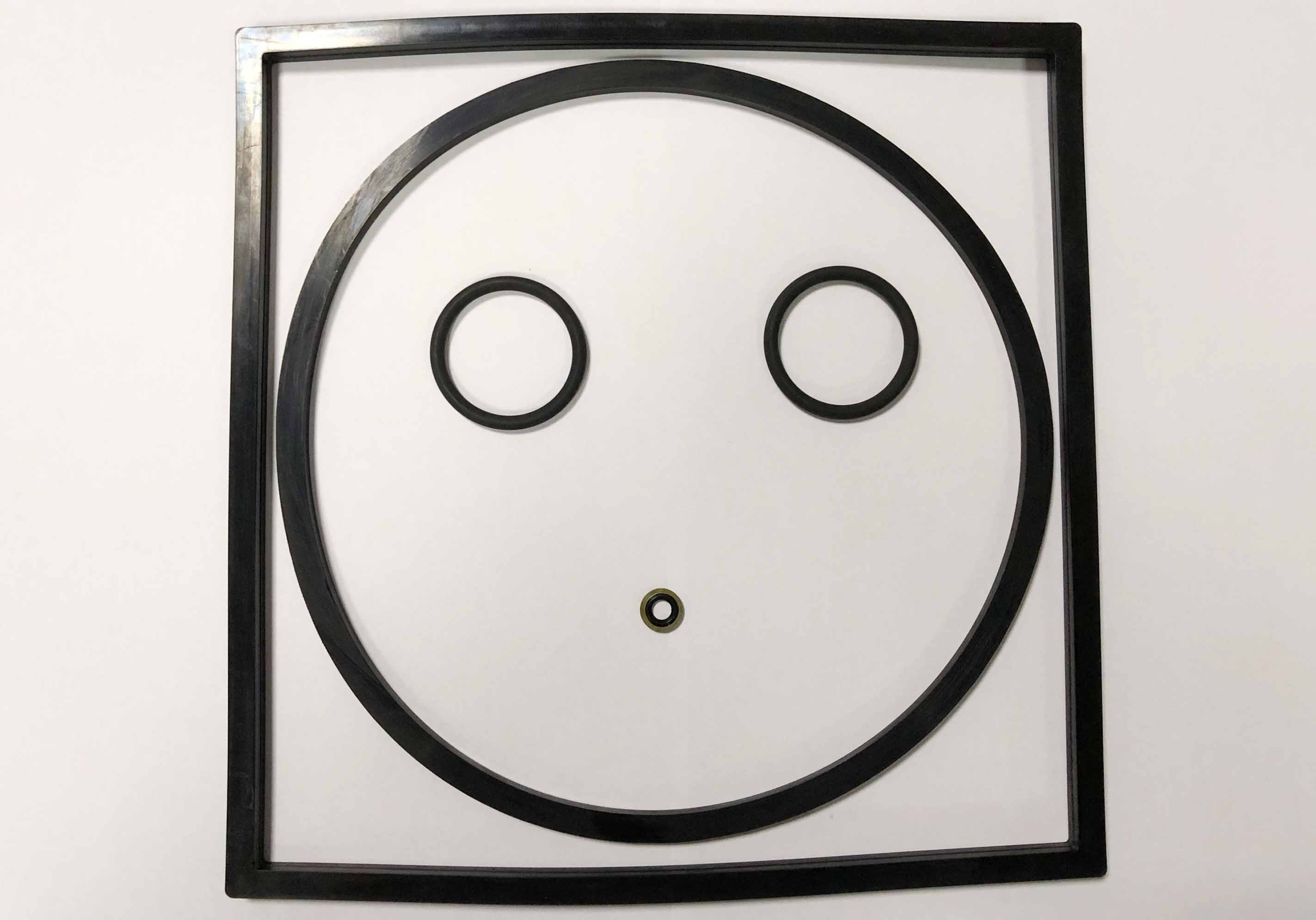 MTU 4000 Parts 8695860572 FUEL PREFILTER GASKET  KIT