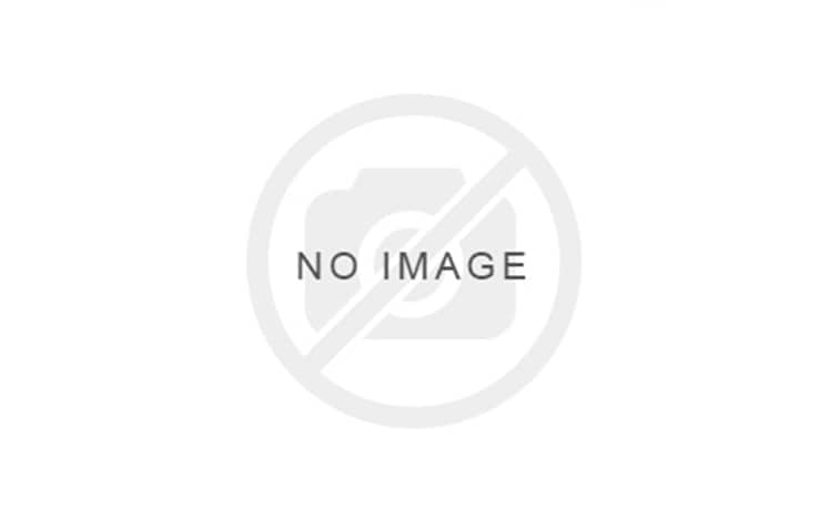 DCEC Cummins 6B Series engineering engine